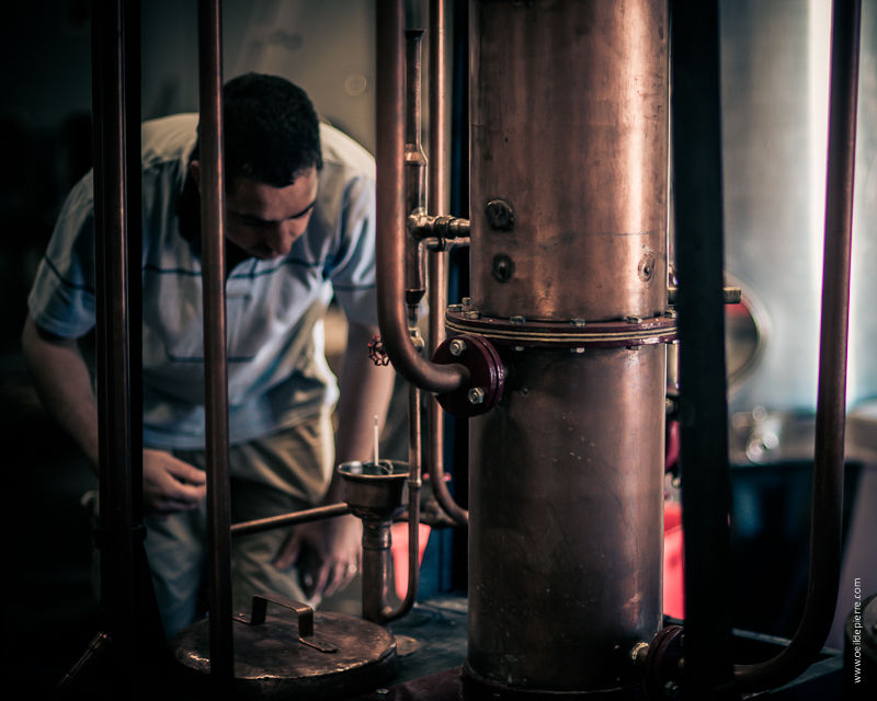 Visite guidée distillerie